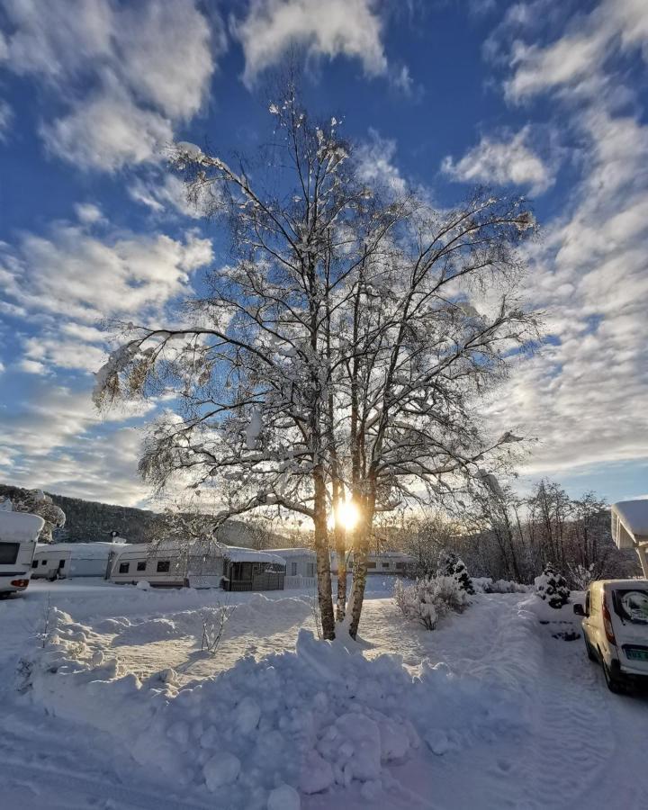 Surnadal Camping Brekkoya Skei  Exterior foto